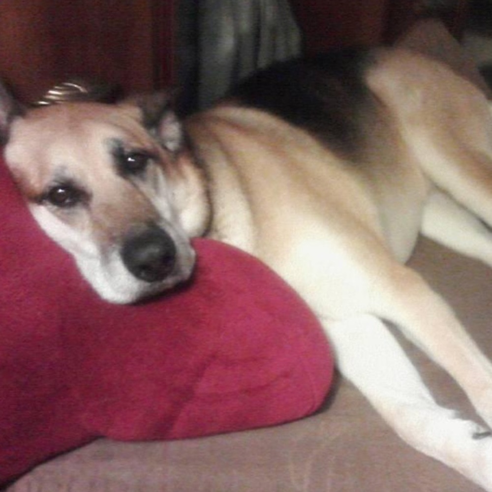 Meet your Posher, Jane